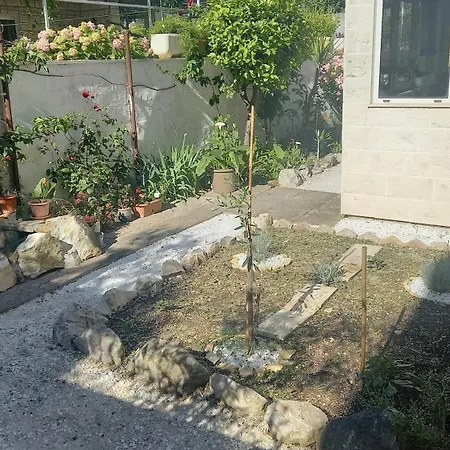 Apartman Mir *